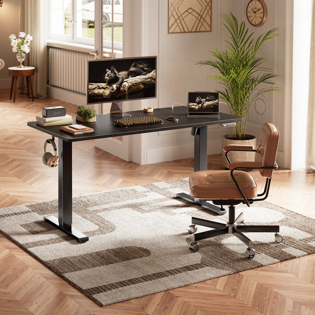 Amadwell 55" Electric Height Adjustable Standing Desk, 27.6" Deep Work Table with Power Outlets, Home Office Desk, Black